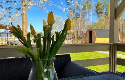 Aparthouse Siemiany - Foto 27