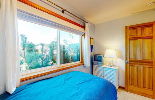 Sea Scallop - Foto 16