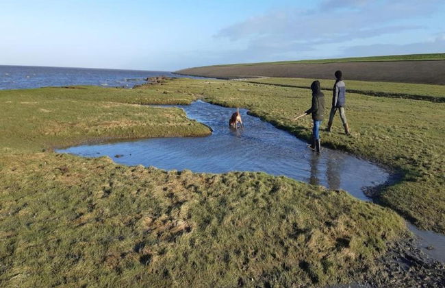 Guesthouse Friesland Ternaard Near Heritage - Photo 37