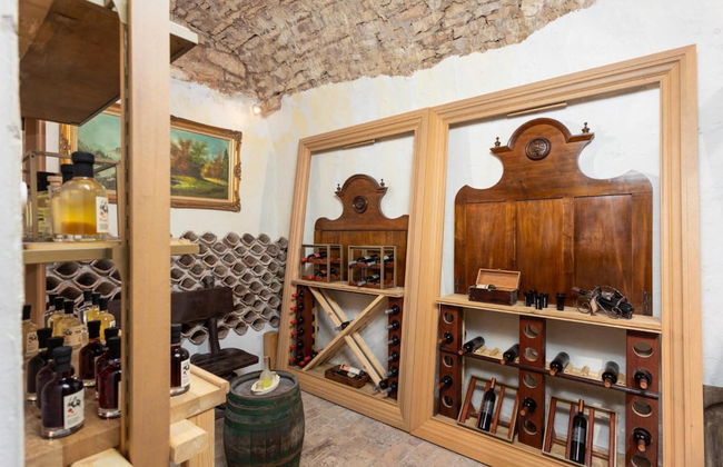 Villa Di Vino in Orbani i - Foto 21