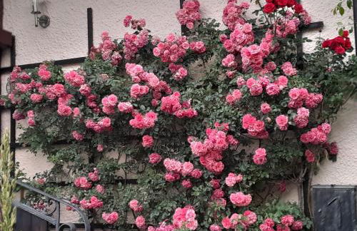 Ferienhaus Resch - Foto 23