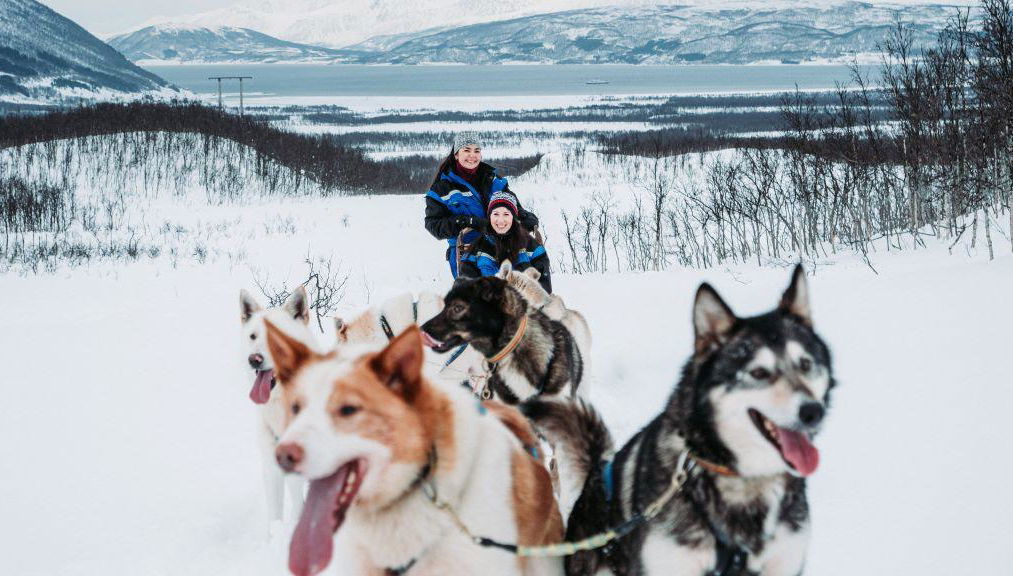 Traîneau à chiens dans un pays des merveilles hivernal - Excursion d'une demi-journée - Photo 2