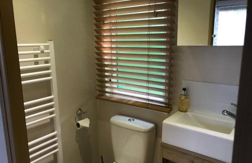 New Forest holiday lodge - Foto 32