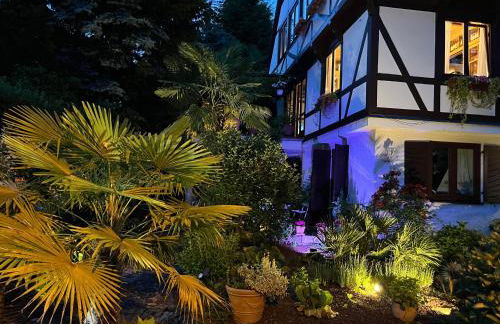 Einliegerwohnung in einer Mühle vor den Toren Frankfurts, ideal für Messegäste oder Stop Over - Foto 17