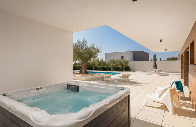 Old Olive VIII - Foto 46