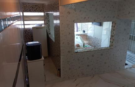 Casa com vista para o mar - Photo 9