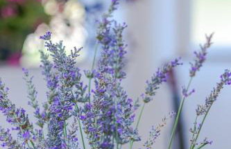 Comfortable apartment near Opatija - Foto 49