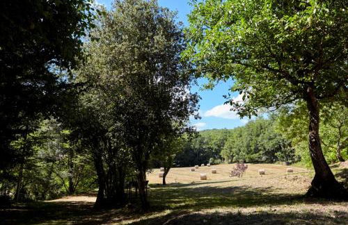 Domaine de Cantegrel - Gîtes de Charme et Suite Troglodyte en Périgord - Foto 57