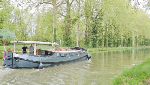 Les coccinelles - Foto 4