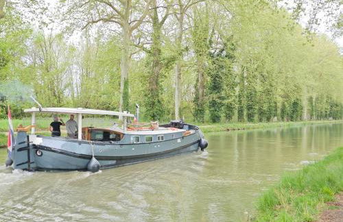 Les coccinelles - Foto 4