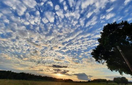 Ferienhaus Drei Birken - Foto 23