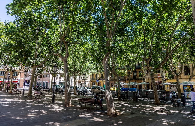 Opening Doors Gracia - Photo 30