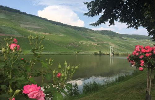 Ferienwohnung Mosel - Foto 17