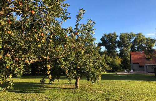 Auszeit Haus am See - Photo 28
