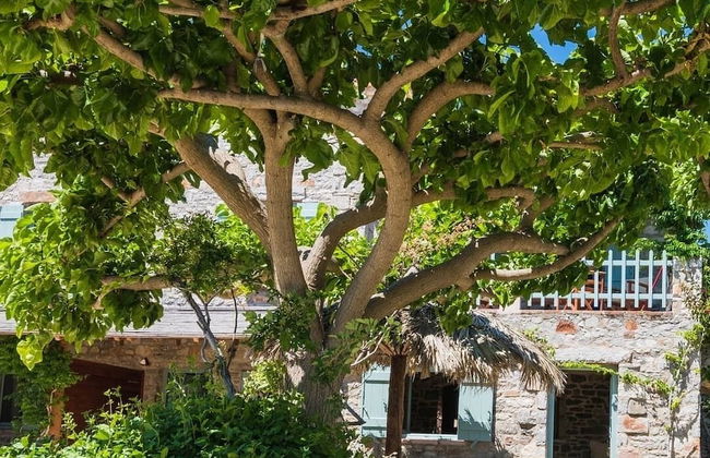 Palaeopoli Villas - Foto 55