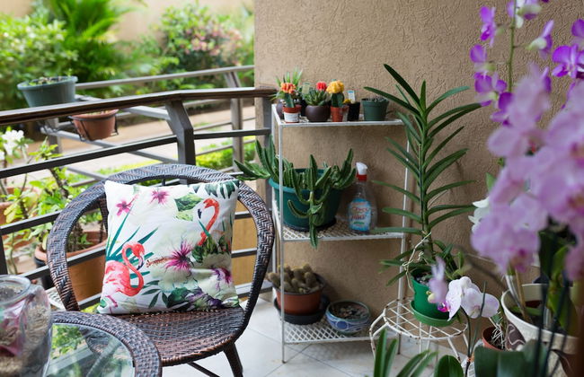 New Kingston Guest Apartment at Inglaterra III - Foto 1