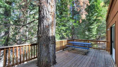 Forest Glen - Foto 4