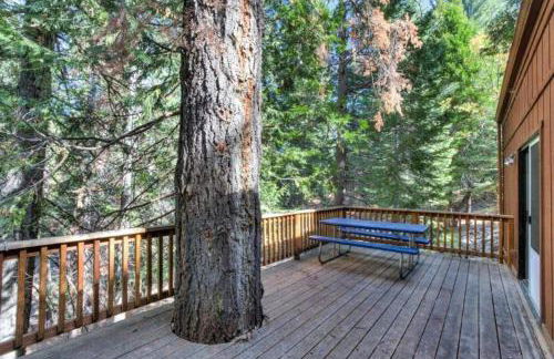 Forest Glen - Foto 4