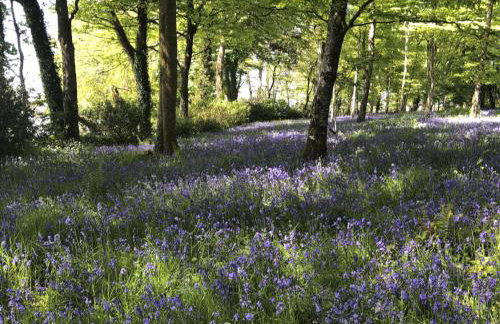 Holiday Home Riverside Cottage by Interhome - Photo 32