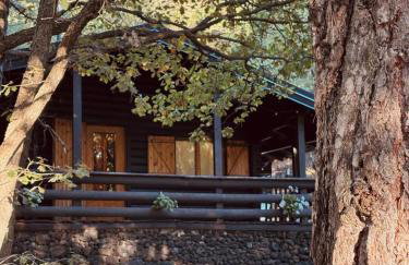 Woods Etna Chalet - Photo 51