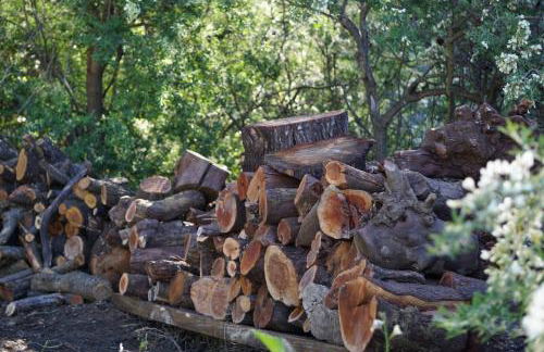 Panorama Suite El Mirador - Foto 41