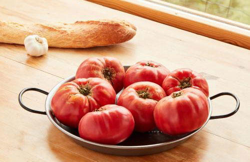 CASA Guardafuentes de Ordesa - Foto 18