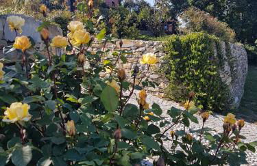 Villa Caterina - Foto 11