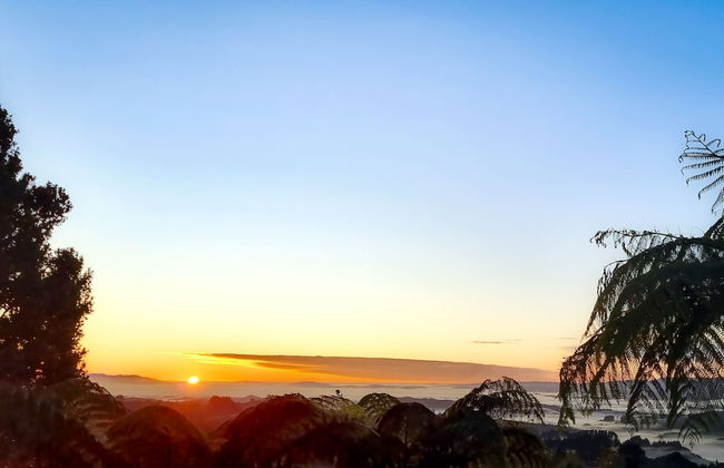 Te Tiro Accommodation - Foto 50