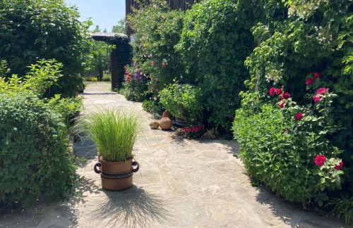 Austragshaus Almbranz - Foto 32