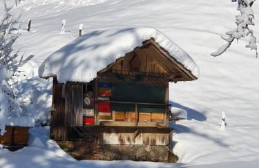 Haus am Eckle - Foto 21