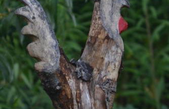 Maison du Tatà - Foto 43