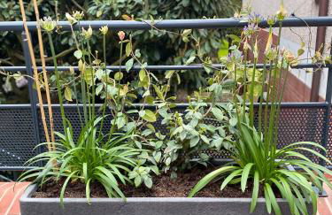 L'ATELIER 14 - Centre ville - Appartement entier- Neuf - Foto 47