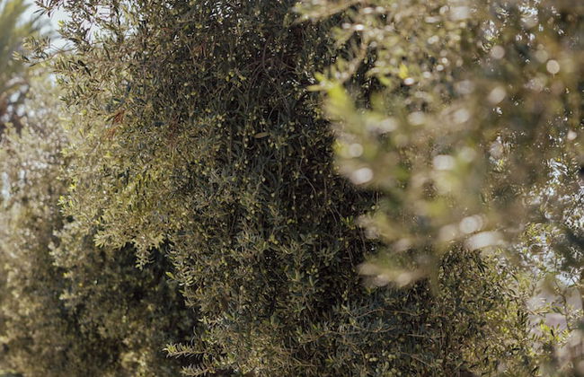 Hotel Rural Can Feliu - Photo 59