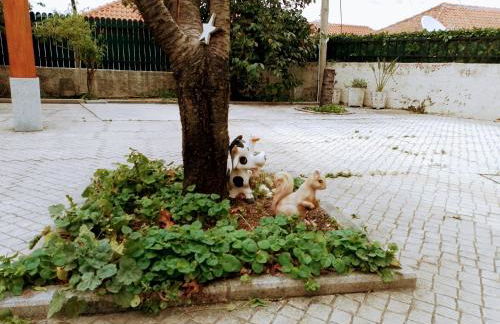 Casa dos Quatro Irmãos - Foto 7