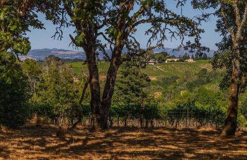 10 Acre Estate with Views Teahouse and Pickleball Court - Foto 69