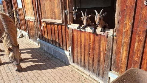 Schwarzwaldblick - Foto 2