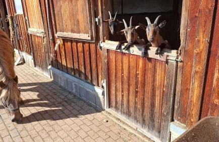 Schwarzwaldblick - Foto 2