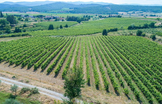 Tenuta La Pieve Casale Il Giglio - Foto 53