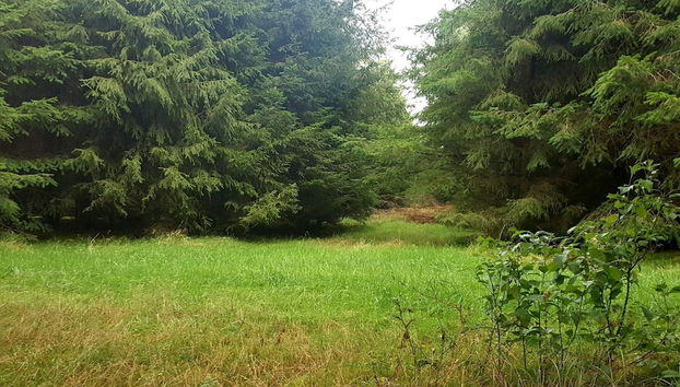 6 Person Holiday Home in Toftlund-by Traum - Foto 5, Miscelánea