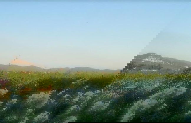 Agrisalotto - Foto 43