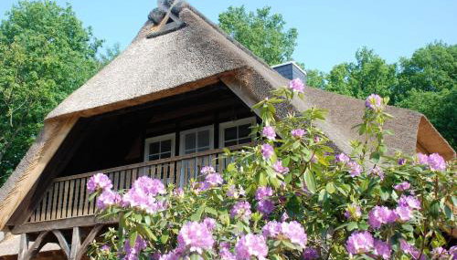 Ferienwohnung am Eichenpark, Lüneburger Heide - Foto 2