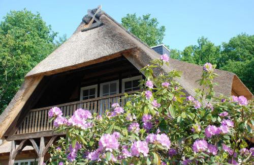 Ferienwohnung am Eichenpark, Lüneburger Heide - Foto 16