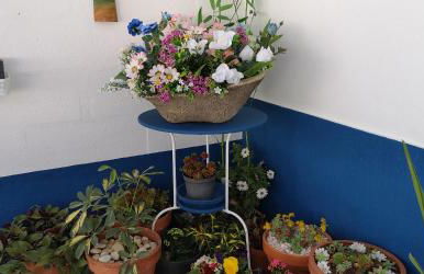 CASA NA ALDEIA - Foto 15