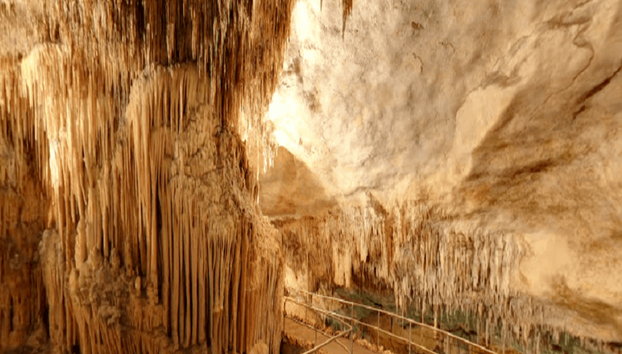 Entdecken Sie die Cuevas del Drach - Halbtages-Bustour - Foto 4