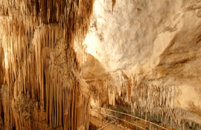 Entdecken Sie die Cuevas del Drach - Halbtages-Bustour - Foto 4