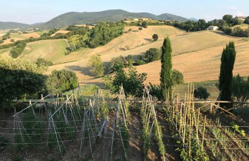 La Corte del Gusto LuxuryApartments - Foto 15