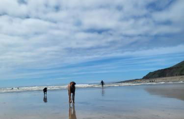 Barn End Cottage - Foto 44