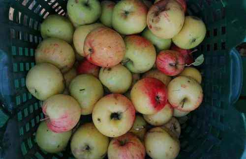 Gästewohnung Schwanenteich - Foto 16