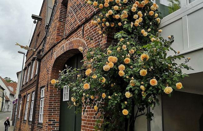 Altstadtzauber Lüneburg - Foto 46