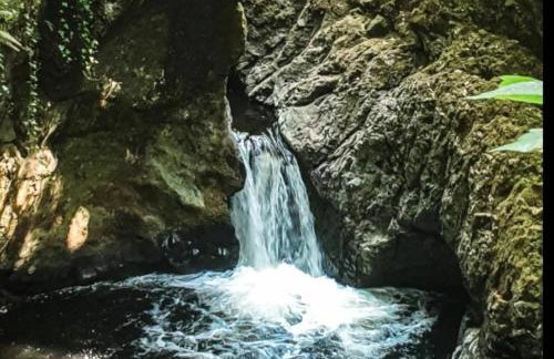 The Wee Stay - Room Only - Rural 1 Bed Guest Suite - Foto 11